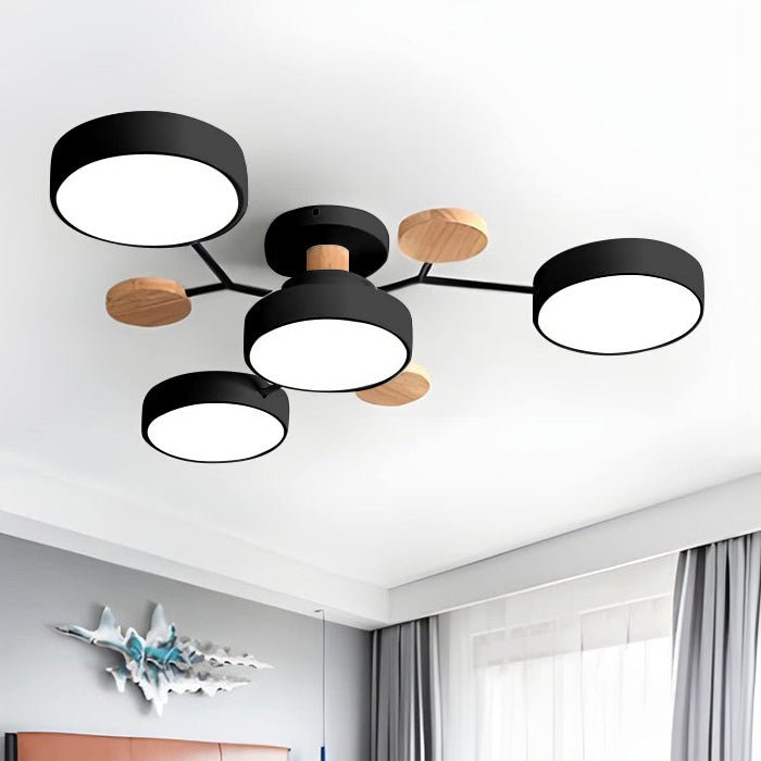 Black Acrylic Ceiling Lamp