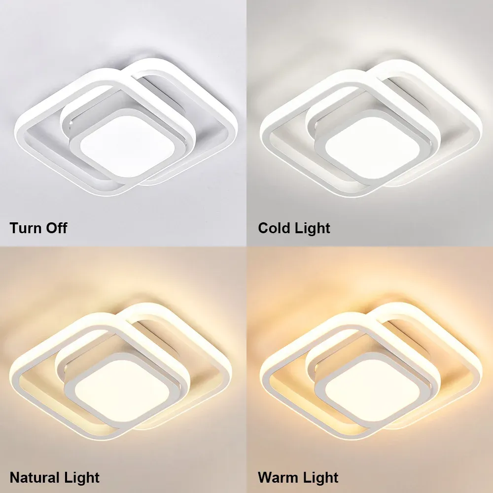 Minimalist Double LED Ceiling Lamp