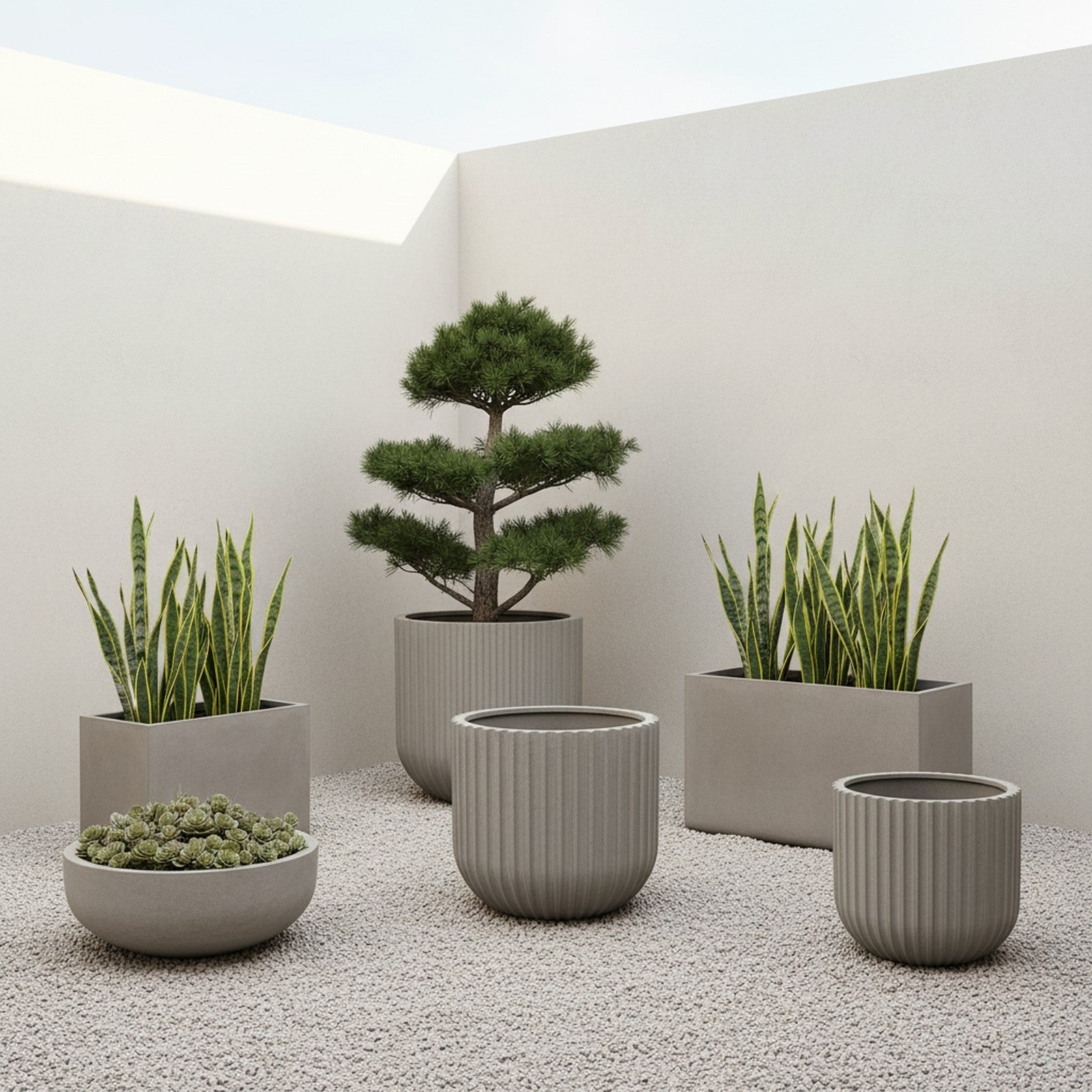 Concrete Ribbed Cylinder Planter - Context Scene